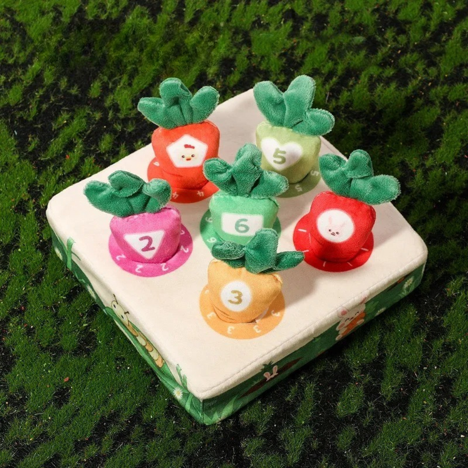 Sensory Carrots™  – Fühlen & Ziehen - Sensorisches Spielzeug