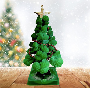 GrowTree™ - Züchte deinen eigenen Weihnachtsbaum! - Weihnachtsbaum-Anbausatz (1+1 GRATIS)