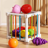 Fruit Box™ - Schneiden, Spielen, Lernen - Obst in der Schachtel