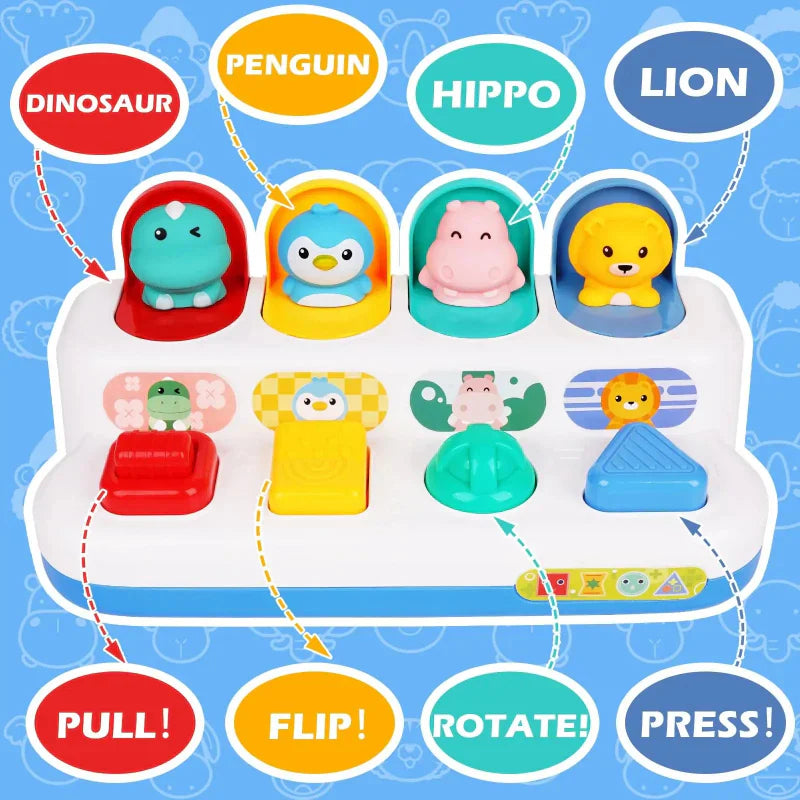 Pop Up Activity Toy – Entdecken & Lernen – Sensorisches Babyspielzeug