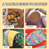 Touch Book™ – Kitzeln & Farben - Sinnesbroschüre Tiere