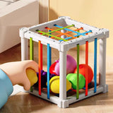 Fruit Box™ - Schneiden, Spielen, Lernen - Obst in der Schachtel