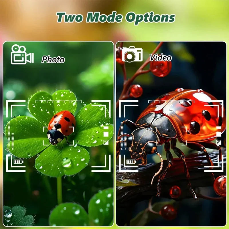 Pocket Microscope 500X - Klein & Leistungsstark - Handlupe