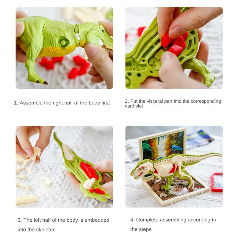 DinoDig – Spannend und lehrreich – Fossilienausgrabungsset