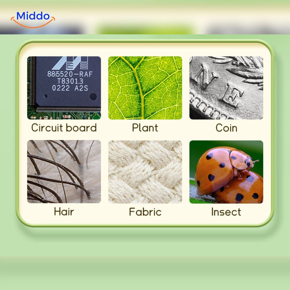 Kids Microscope – Wissenschaftliche Entdeckung – Tragbares Mikroskop